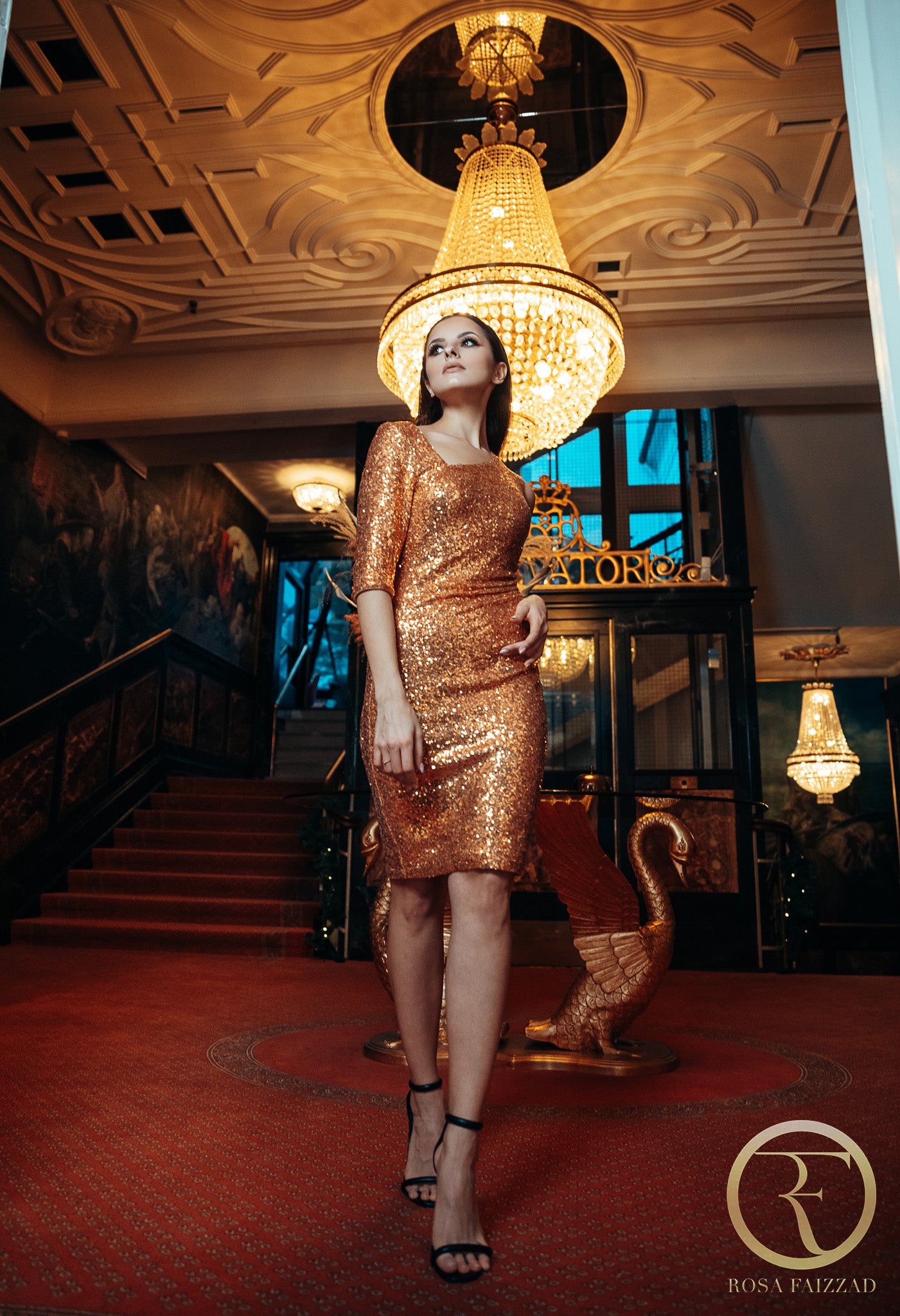 ZOYE (JOYFUL) SHORT SINGLE SLEEVE BRONZE SEQUIN COCKTAIL DRESS-DRESS-ROSA FAIZZAD